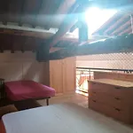 Il Carnasciale Pieve Di Camaiore - Fienile