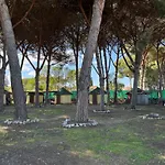 Hotel Paradiso