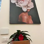 Casa Falo'