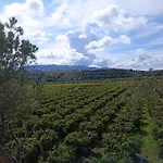 B&B Casa Gabriele