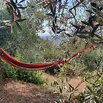 Agricamping La Gallinella