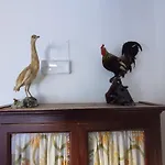Hoarder'S Home Gallery