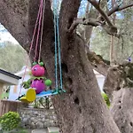 B&B Il Vecchio Gelso