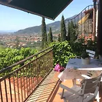 Belvedere 10