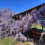 Casa Riva - Among Olive Trees And The Tuscan Coast