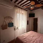 La Cartomante Di Bonaparte