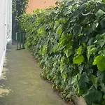 Casa Elisa 8