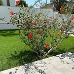 Sea Breeze Garden House