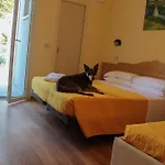 Pet Hotel Virginia - Hotel Per Cani