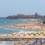 Turival