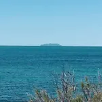 Sogno Mediterraneo