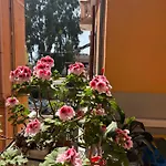 Sissi House Salerno