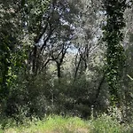 Casa Zefiro, Tra Pineta E Mare!