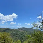Dente Di Leone