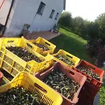Bilocale Agriturismo Le Pinete A Riotorto