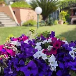 Katy'S Garden