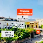 Cialoma Full Green