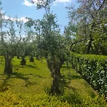 Il Giardino Di Athena 1