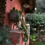 The Treehouse - Casa Sull'Albero Al Golden Camp