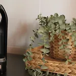 Casa Asterope