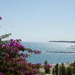 La Bolina