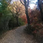 B&B Il Vecchio Gelso