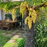 Le Bodole