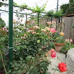 B&B Palazzo A Mare