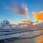 Mira Il Mare Seaview Apartment - Sunset Lovers' Spot - 50M From The Beach Lavinio Mare