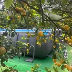 Yourhome - San Valerio Home