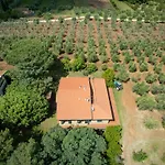 La Sassetta