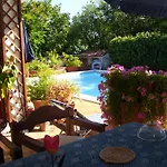 B&B Pane & Tulipani