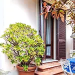 Acqua Marina Pad