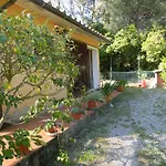 Lacona