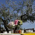 Tenuta Querce Grosse