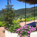 Villa Gemma