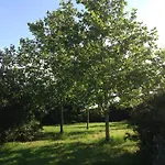 Agriturismo La Fattoria Del Mortelliccio