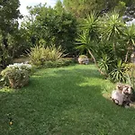 Il Giardino Di Armida