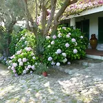 Guesthouse Porrettina