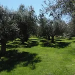 Il Borgo Degli Ulivi