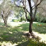Casa Romana