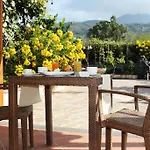 Divinus B&B
