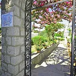 Cavalluccio Marino