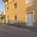 Il Delfino
