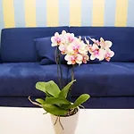 Lemon Flats Sorrento