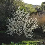 Rio Farneto B&B