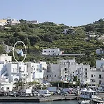 Salvatore 8