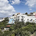 Salvatore 8