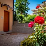 Antonella'S House