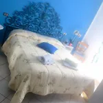 B&B Anny